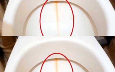 I apply it to the toilet brush and clean the bowl. The limescale disappears in the blink of an eye.