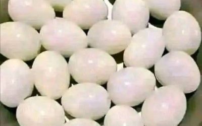 Give it a try! Count the eggs. Are there 21 or 23? The winner gets a surprise.