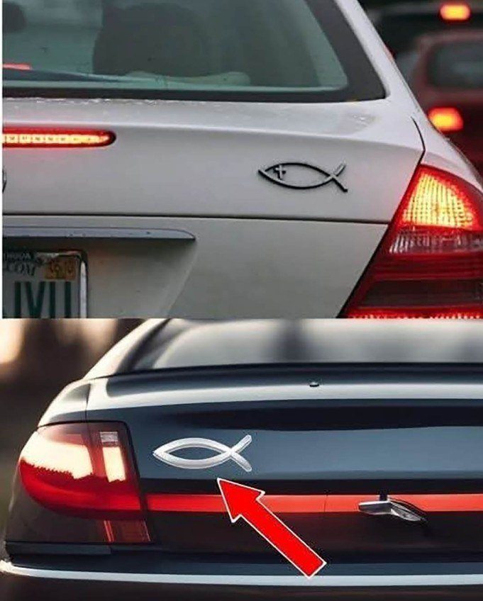 What does a fish sticker on the back of a car mean?