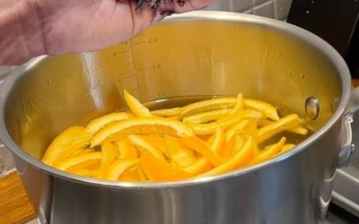 Reviving Ancestral Wisdom: The Orange Peel and Clove Elixir