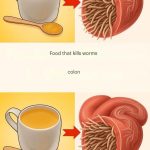 7 foods that kill intestinal worms