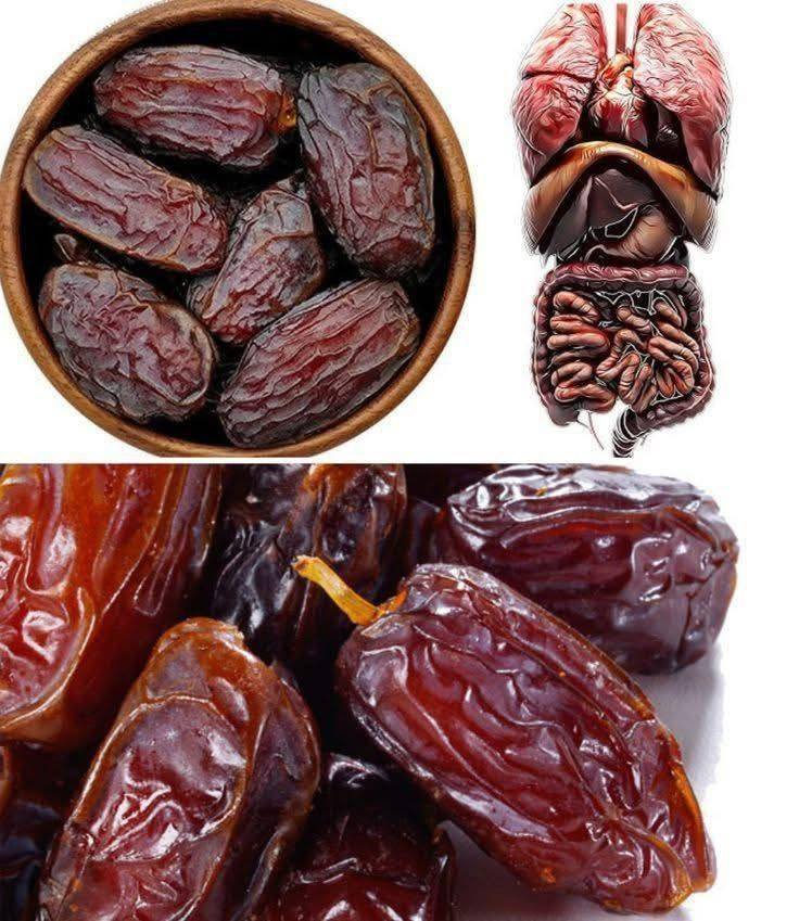 A Healthy and Delicious Way to Enjoy Dates in Your Diet: Nature’s Sweet Superfood for Health and Energy