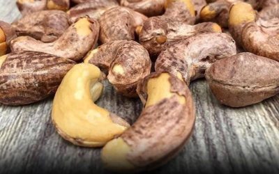 Doctors reveal that eating cashews causes …