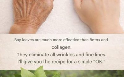 Bay leaf: nature’s secret to youthful, wrinkle-free skin!