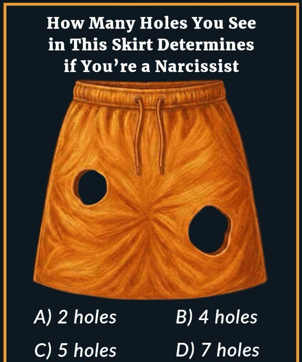How Many Holes Do You See in This Skirt? The Viral Visual Puzzle That Has Everyone Counting Twice