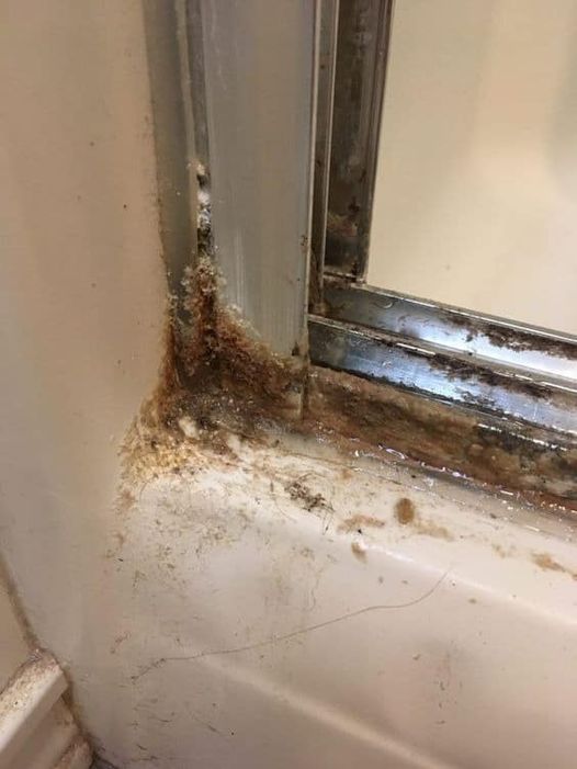 How to clean shower doors with 2 simple ingredients