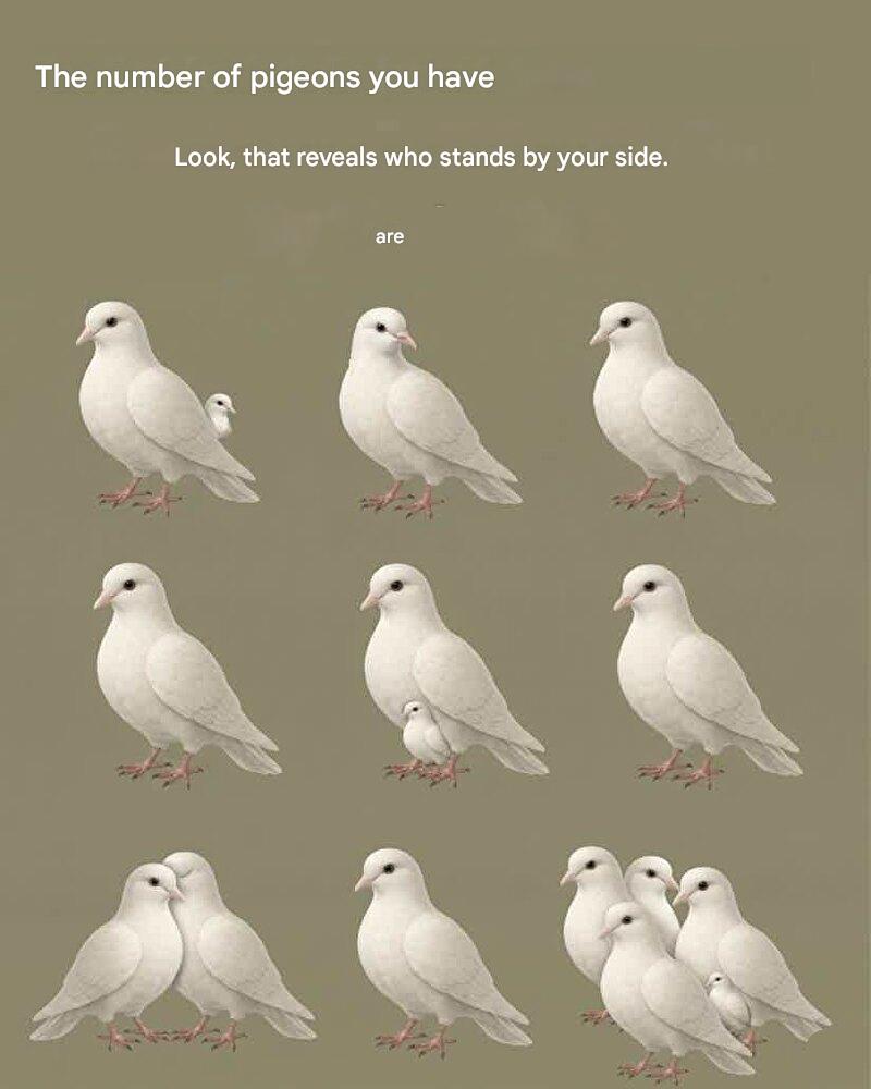 The number of pigeons you see reveals who is walking in your neighborhood.