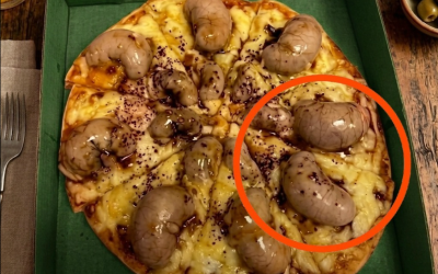 My Pizza Looked Strange—Here’s What the Bubbles Really Were
