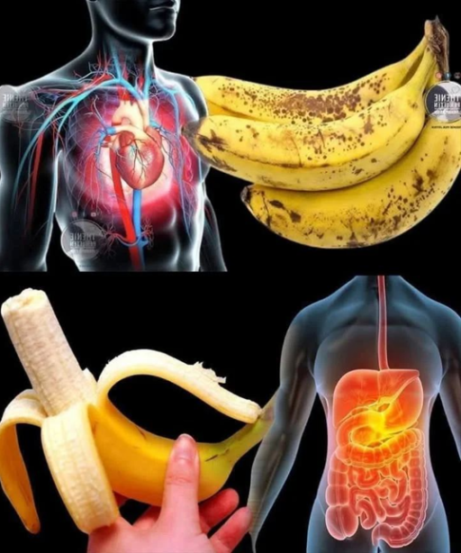 Did you know that eating bananas increases… Read more