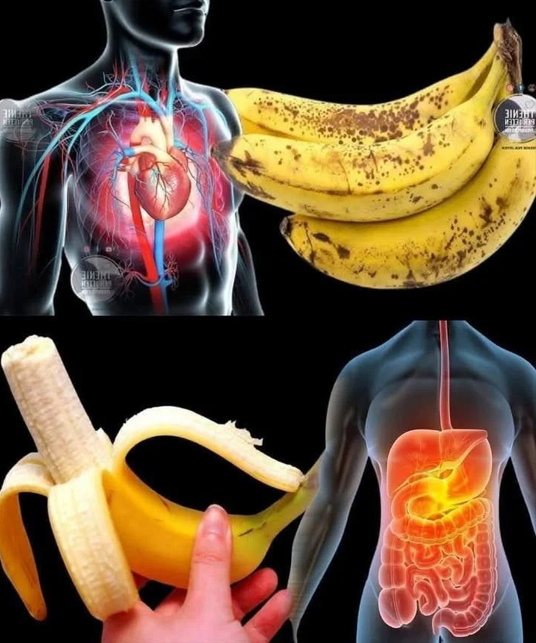 Did you know that eating bananas increases… Read more