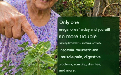 Could you get an oregano smoking sickness that affects the bronchi and digestion? If you explain this article, with “Mi piace” and scoprite, this will be corrected.