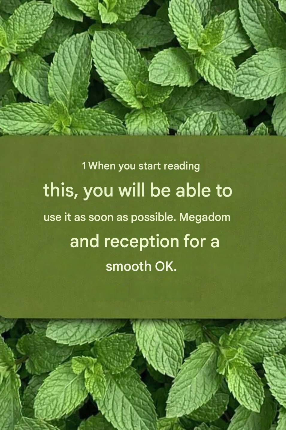 Mint: The Wonder Plant for Health