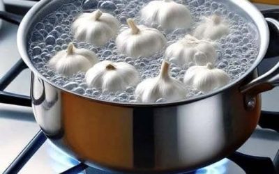 The little-known trick to save your plants: a homemade garlic and cinnamon decoction