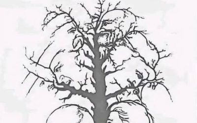 Only a few people can find all the faces hidden in this tree: are you one of them?