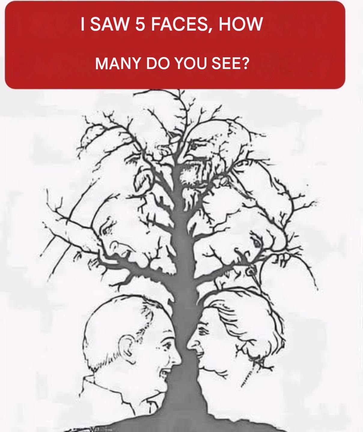 Only a few people can find all the faces hidden in this tree: are you one of them?