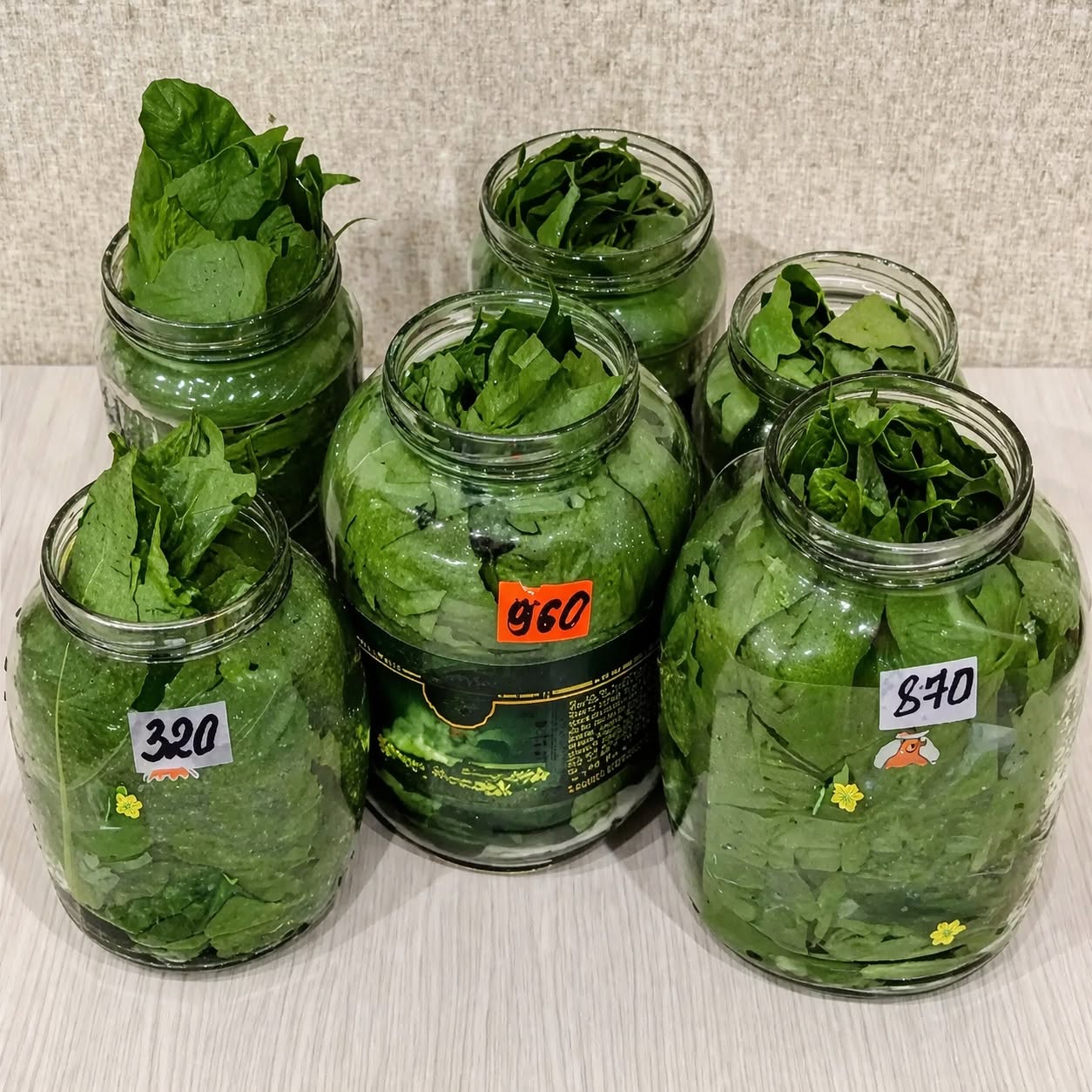 Those who have them in their garden don’t have to worry about HIGH WATER PRESSURE, varicose veins, or allergies: Pick these leaves in the spring!
