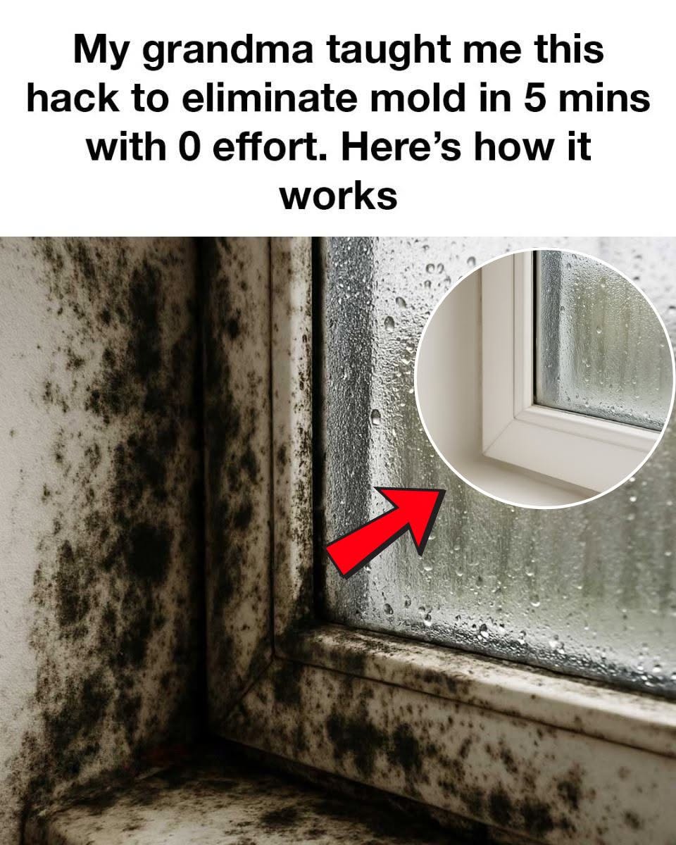 My grandma taught me this hack to eliminate mold in 5 minutes with 0 effort