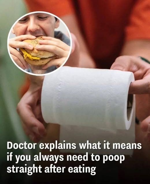 Why You Might Need to Poop Right After Eating