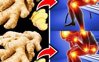 What Happens If You Eat Ginger Every Day? | Nutrition, Preventive Healthcare, and Wellness