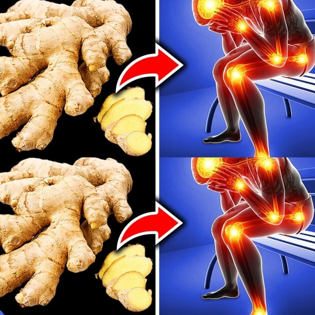 What Happens If You Eat Ginger Every Day? | Nutrition, Preventive Healthcare, and Wellness