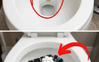 The morning ally that transforms your toilet maintenance see…